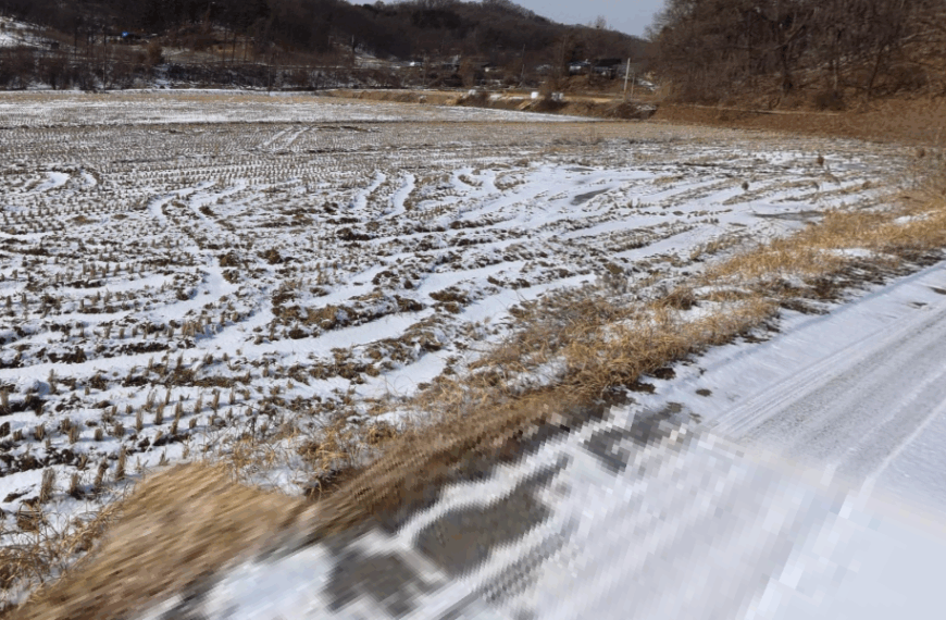 [f303160]천안시 동남구 풍세면 두남리 토지 매매 853p 2.56억원