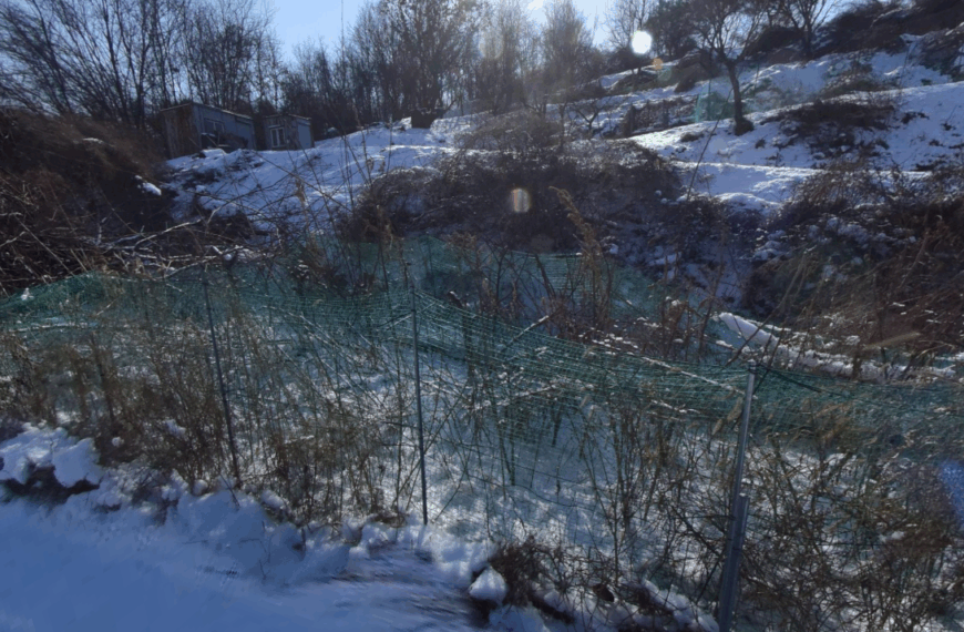 [f303161]천안시 동남구 풍세면 가송리 토지 매매 800p 3.6억원